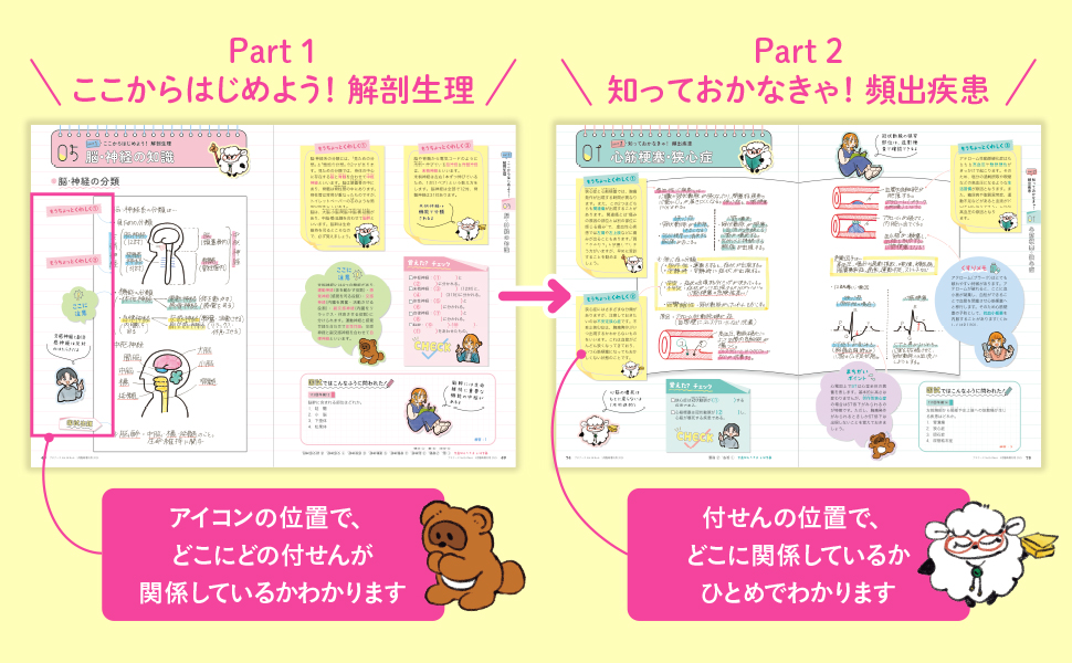 プチナース(25冊)増刊号と付録あり プチナース2025年5月増刊号 いちばんやさしいノートと付せんで
