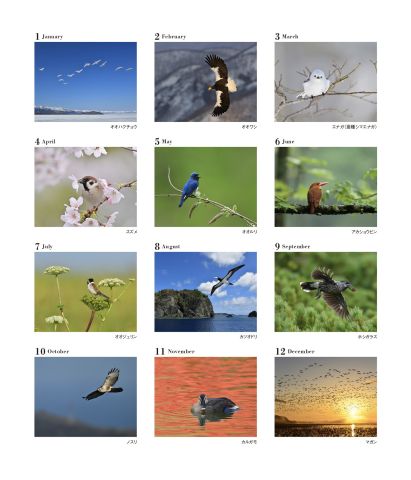 たくましく、美しい鳥たちのカレンダー 『四季の野鳥