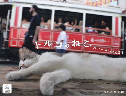 世界一猫にやさしいといわれる街 イスタンブールに暮らす猫たちの日常