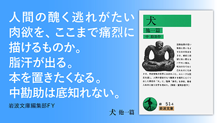 超ヴィンテージ！ 岩波写真文庫 11冊➕おまけ ヴィンテージ