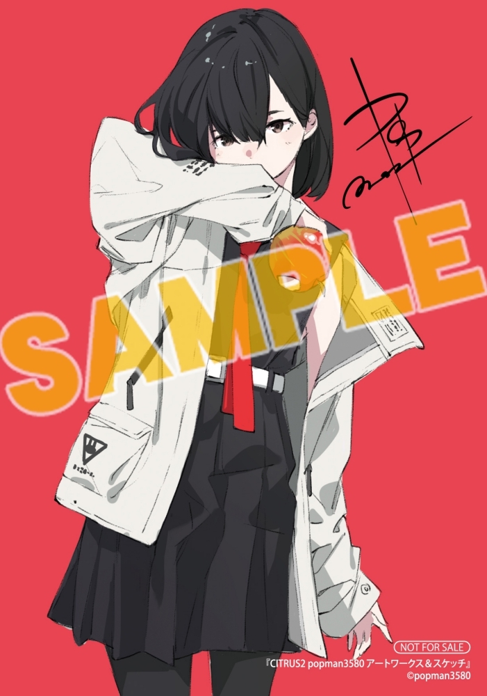 アート デザイナー絵 CITRUS2 popman3580 アートワークス＆スケッチ』アニメイト