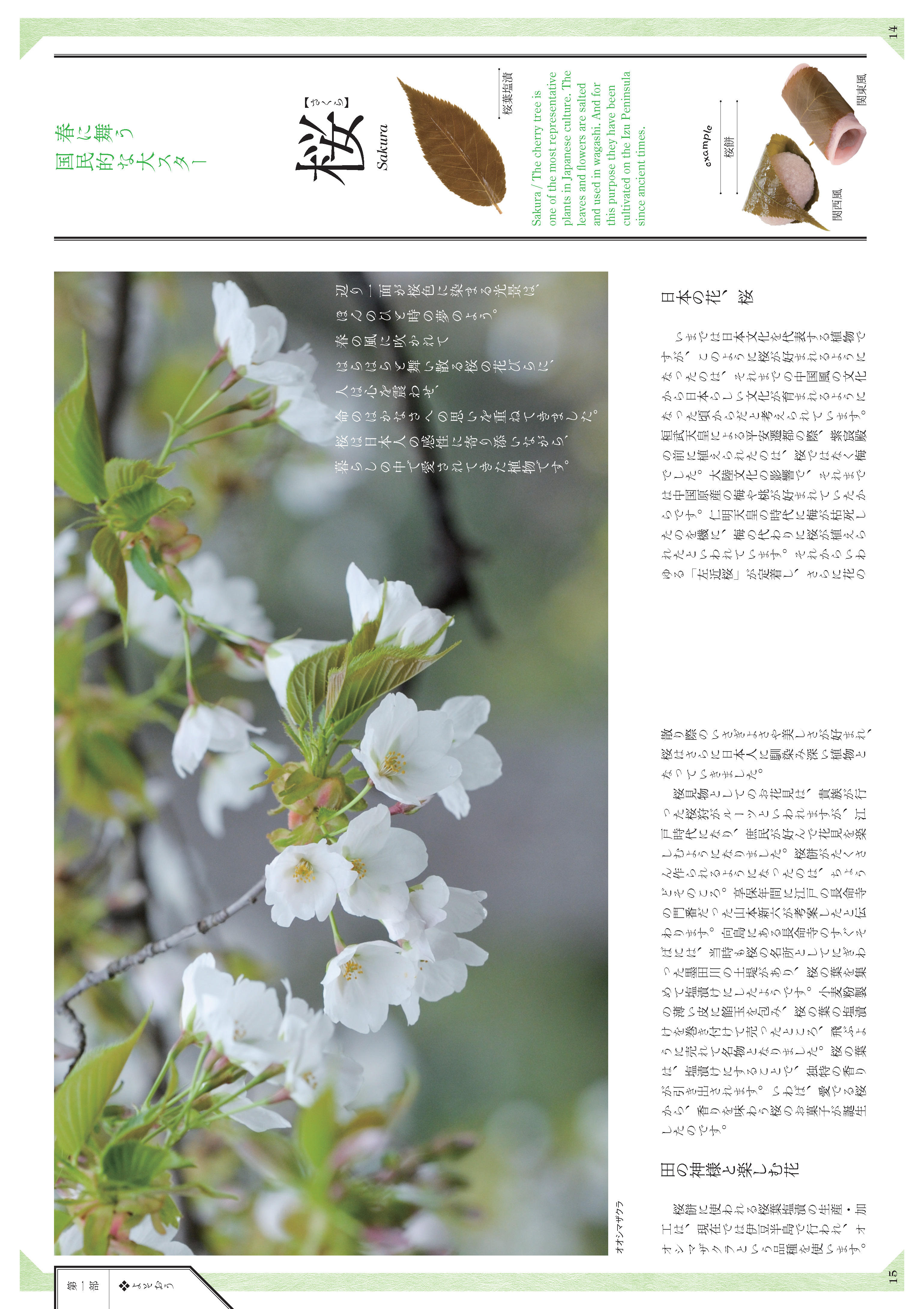 和菓子のいのち - 京都新聞出版センター