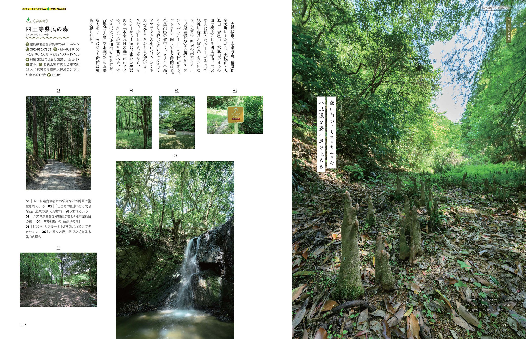 自然を満喫 森さんぽ 福岡版 - BOOKぴあ ぴあ株式会社の出版ポータルサイト