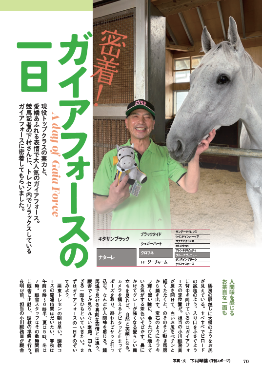 名馬コレクション 芦毛の怪物たち（2026.7.27発売） - 株式会社ガイド