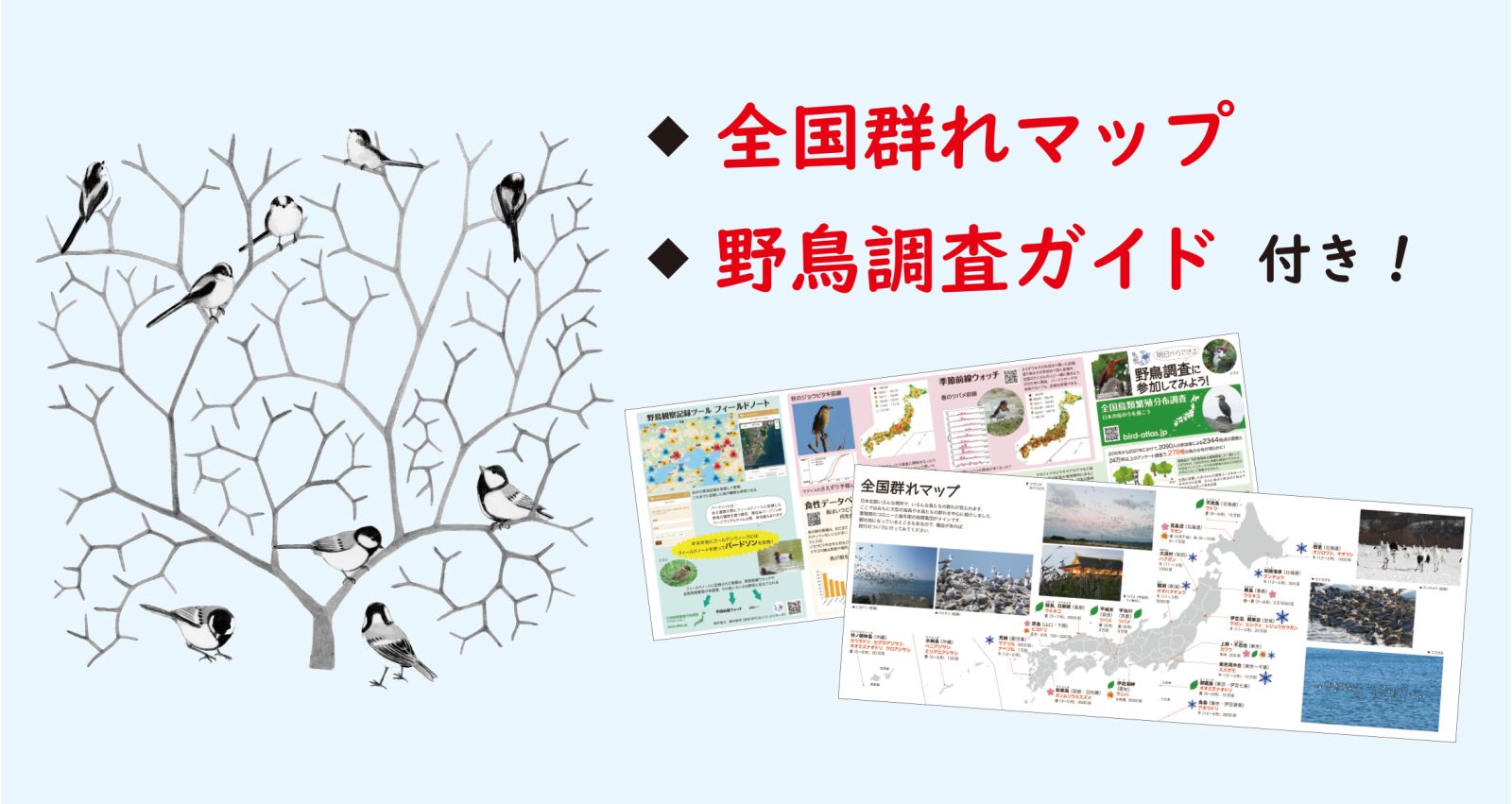 新版 鳥はなぜ集まる？（科学のとびら65） - 株式会社東京化学同人