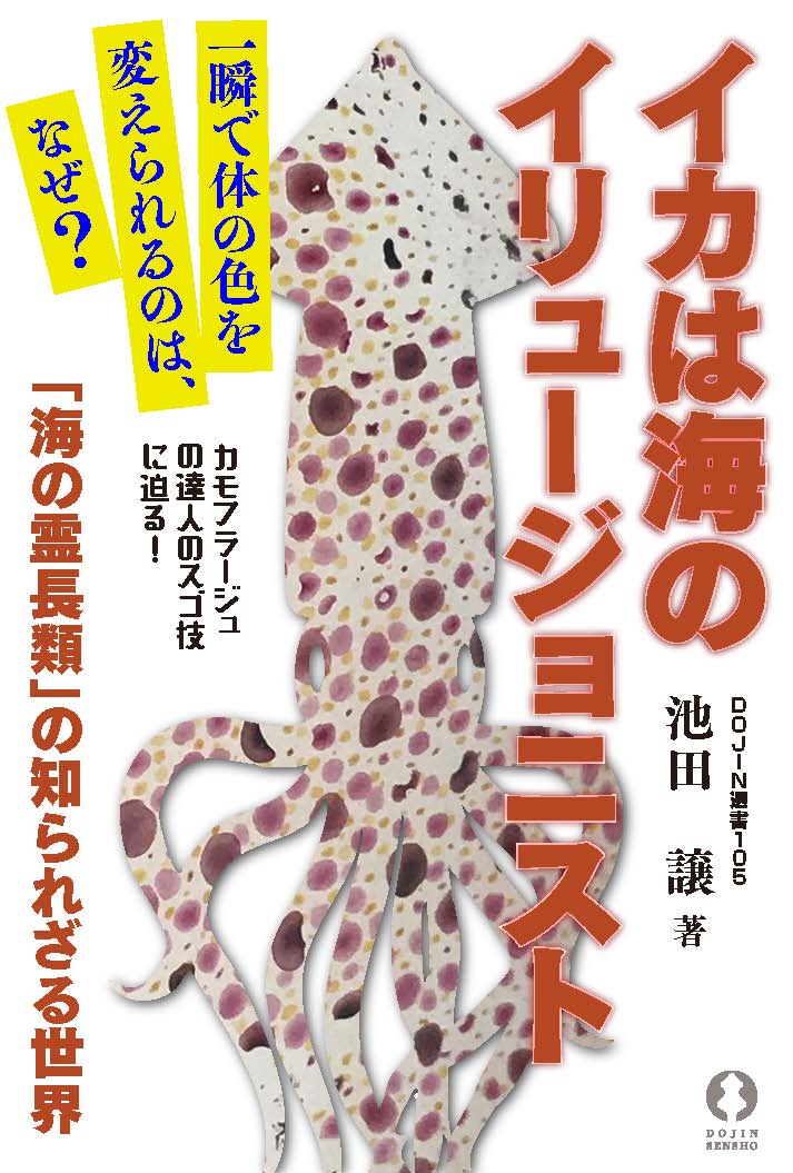 イカは海のイリュージョニスト - 株式会社 化学同人