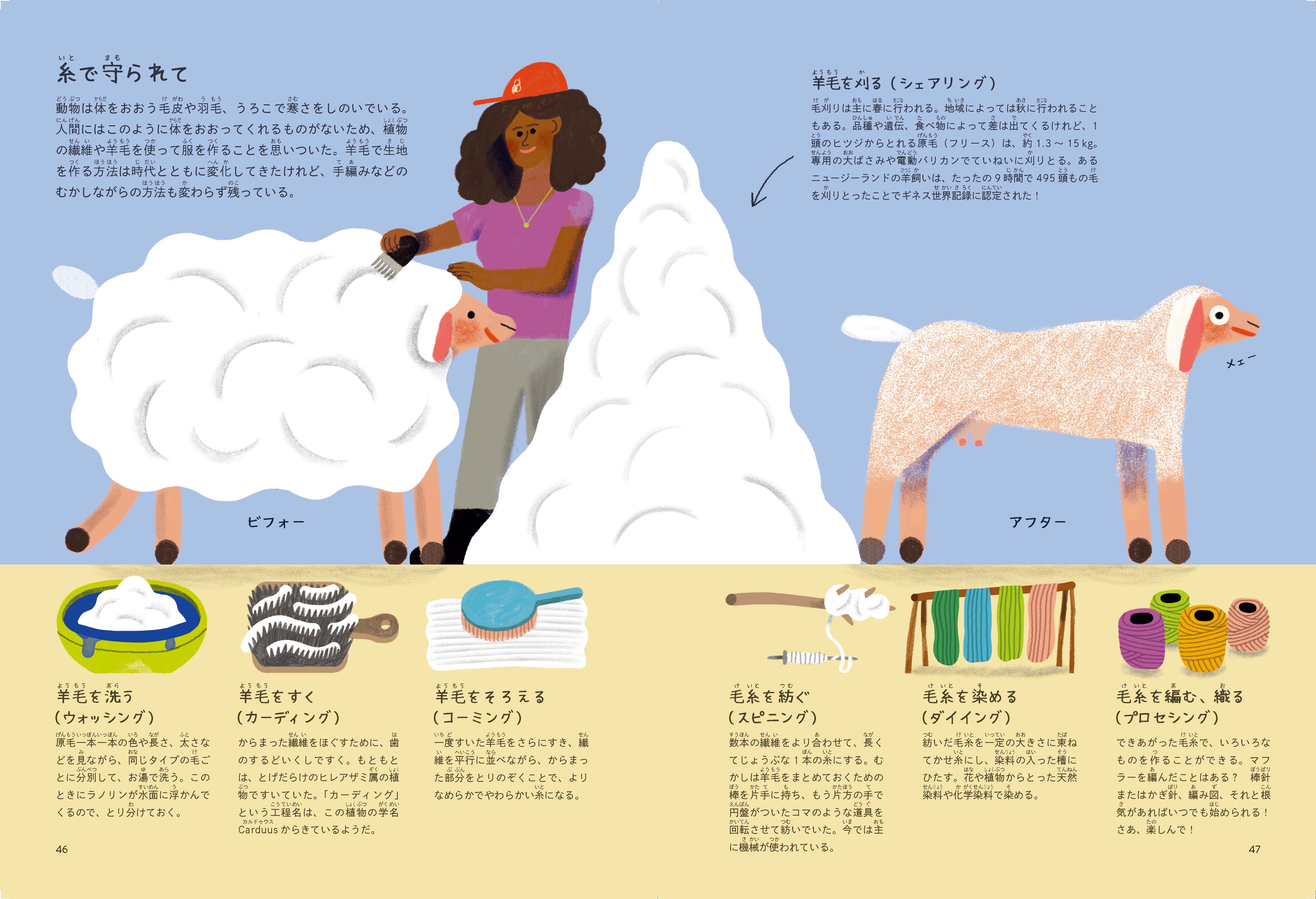 ちかくにあるいのち図鑑 ヒツジ - 株式会社 化学同人