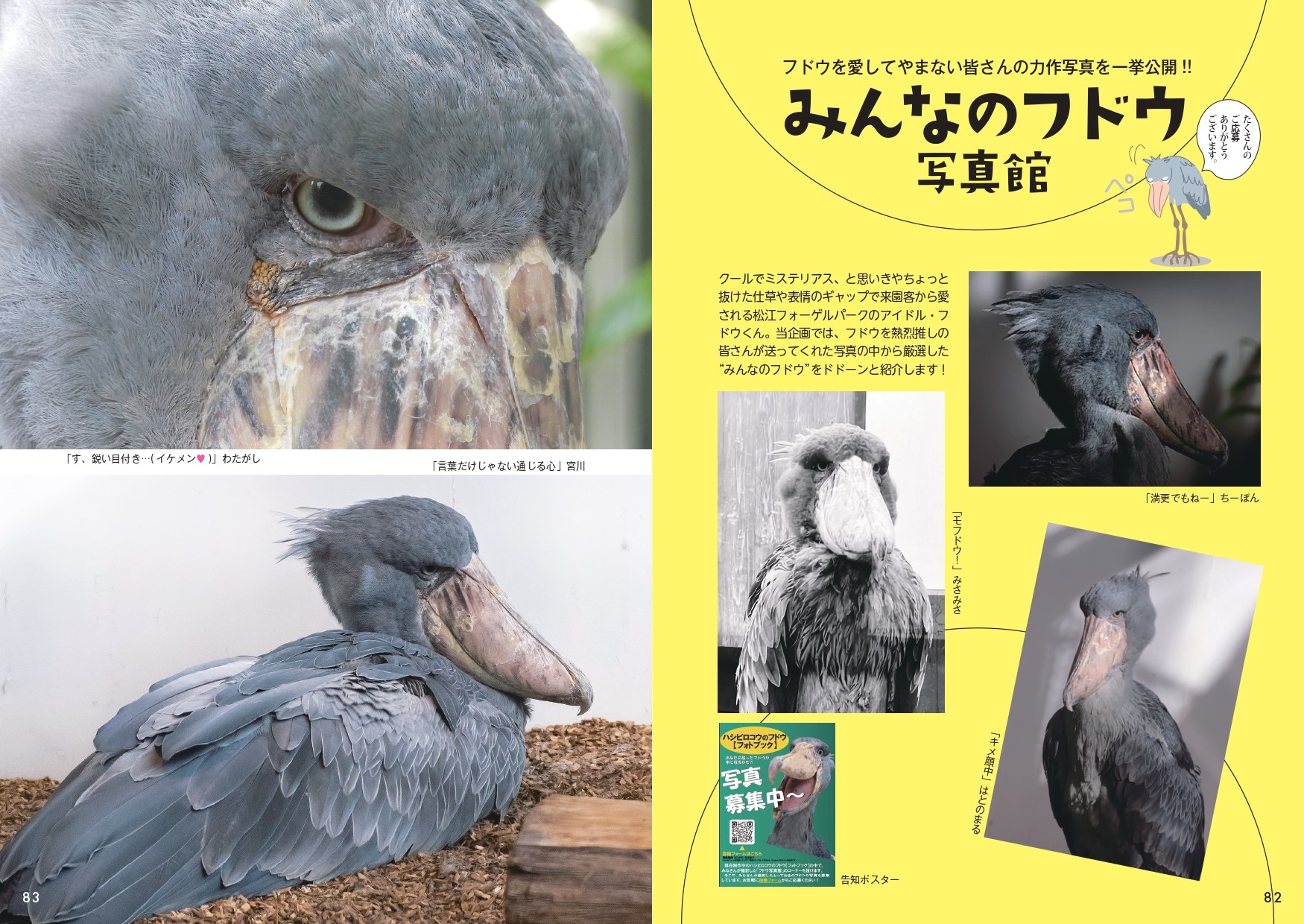 ハシビロコウのフドウ PHOTO BOOK - 株式会社カンゼン