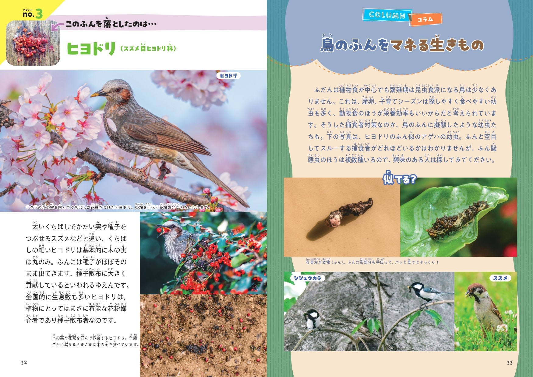 鳥の落としもの＆足あと図鑑 - 株式会社カンゼン