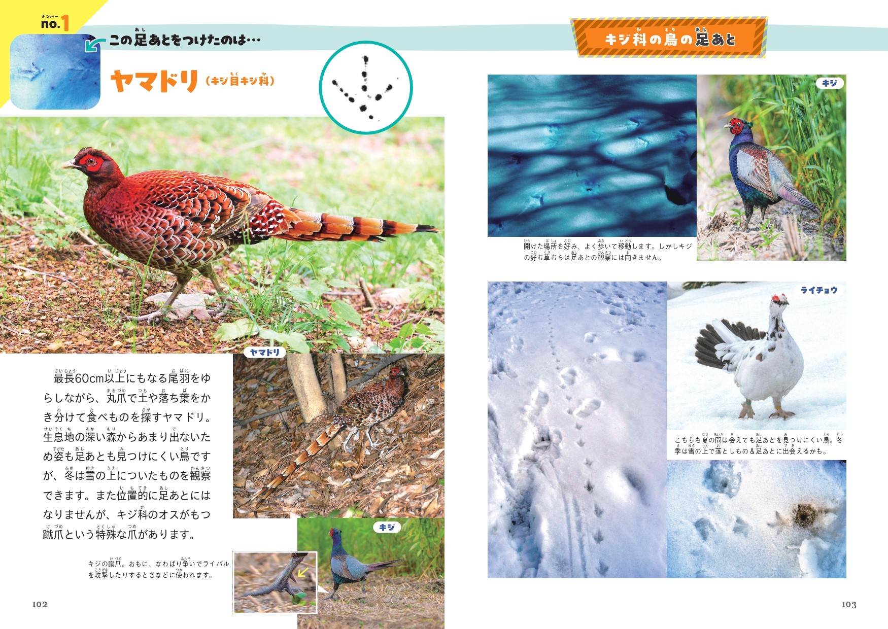 鳥の休息 飛良泉 FOUR SEASONS -春- うすにごり 720ml 秋田の地酒屋 佐金酒店