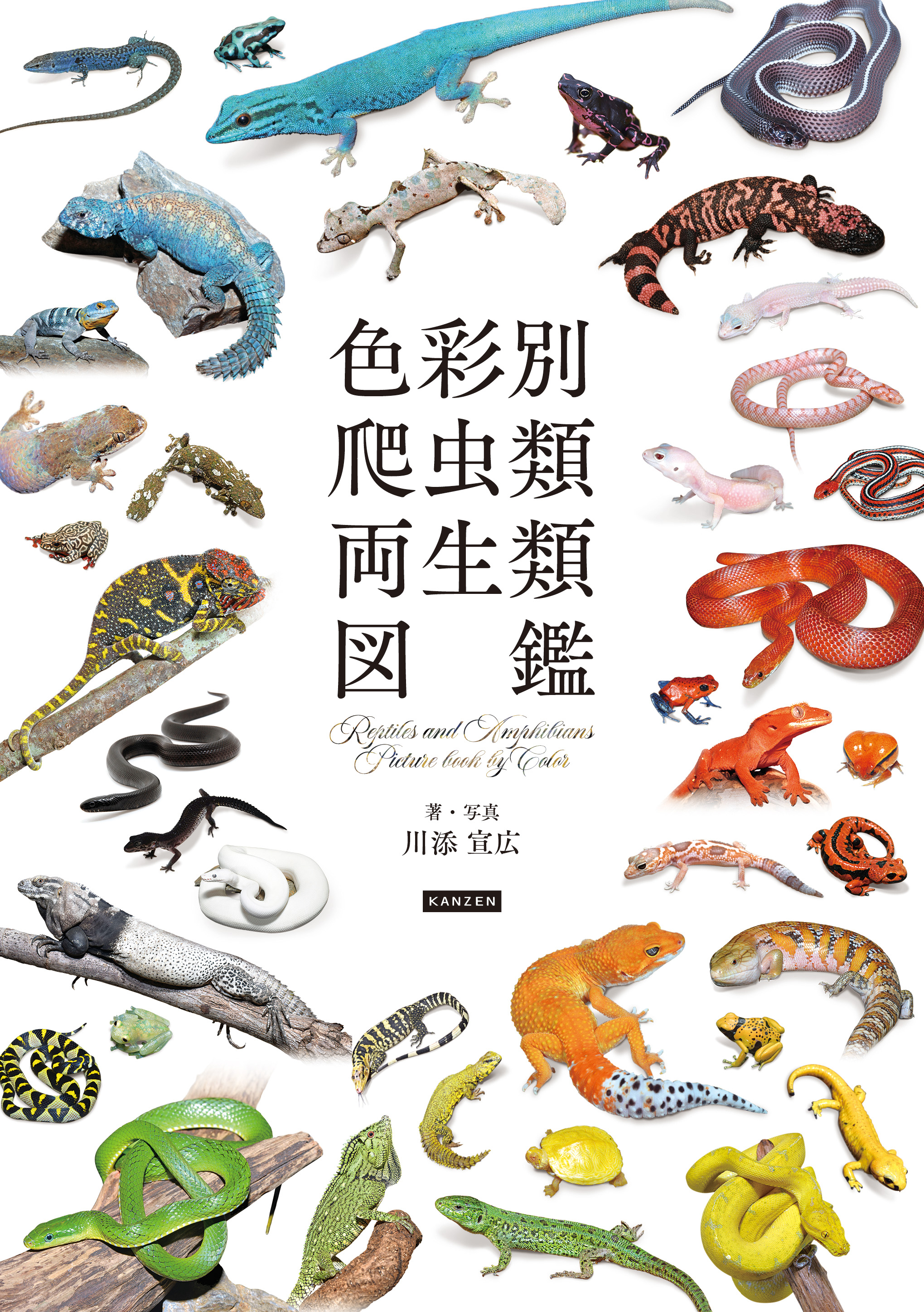 色彩別爬虫類・両生類図鑑』重版しました!! - 株式会社カンゼン