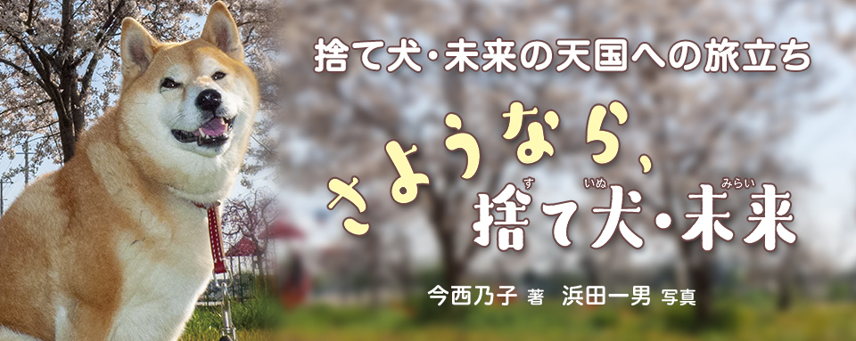 23年10月新刊☆さようなら、捨て犬・未来 - 株式会社岩崎書店 この1冊