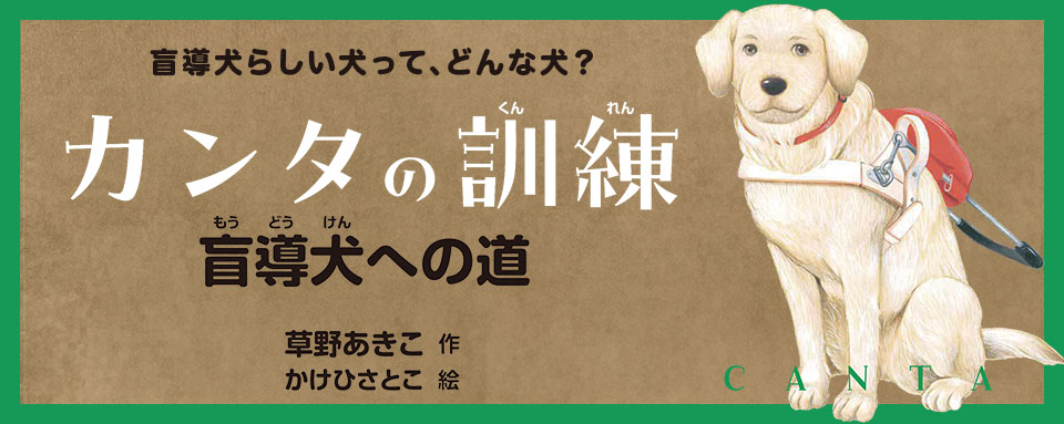 24年6月新刊☆カンタの訓練 盲導犬への道 - 株式会社岩崎書店 この1冊