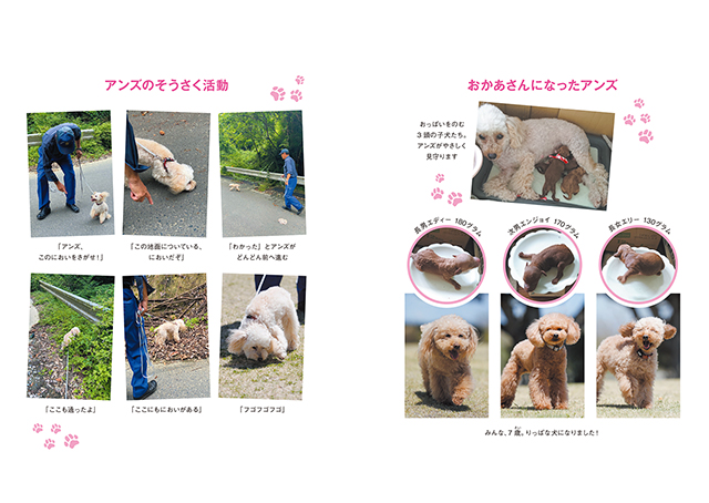 25年8月新刊☆おかあさんになった警察犬アンズ─子犬につたえる