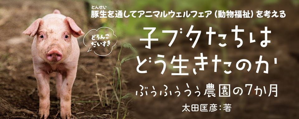 【中古】 未完成ライラック/岩崎書店/本田昌子 25年9月新刊☆子ブタたちはどう生きたのか - 株式会社岩崎書店
