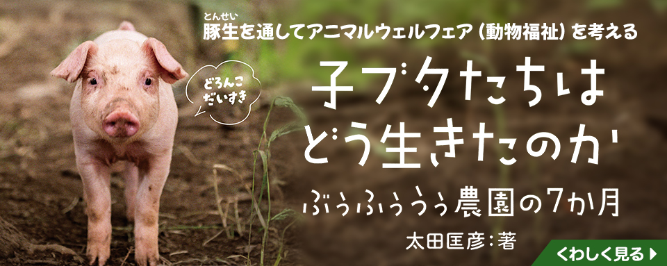 子ブタ 25年9月新刊☆子ブタたちはどう生きたのか - 株式会社岩崎書店 この1冊