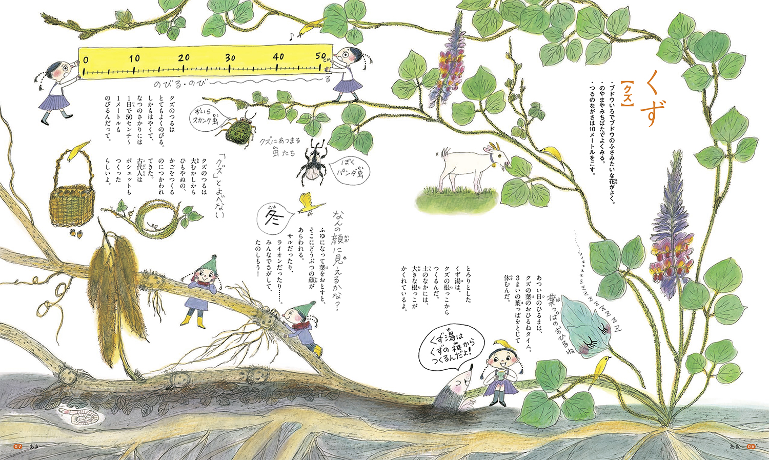 いのちのえほん 全17巻 岩崎書店 いのちのえほん 全17巻 岩崎書店 いのちのえほん 全17巻 岩崎書店