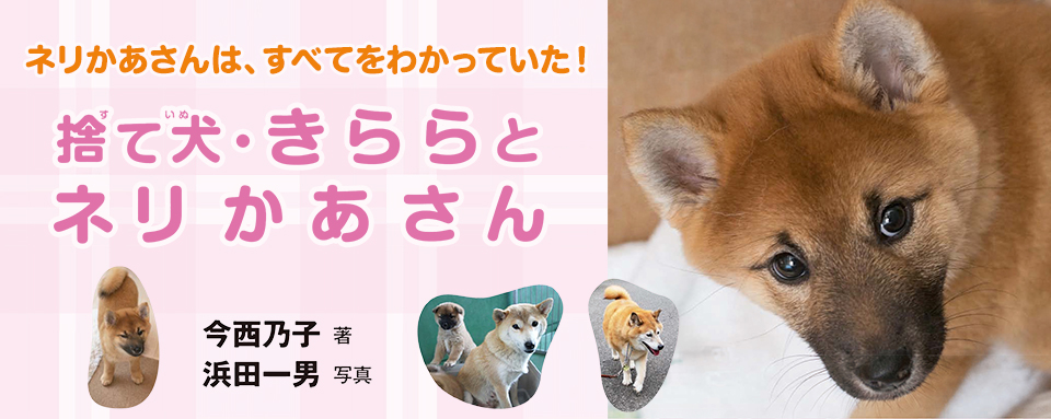 26年2月新刊☆捨て犬・きららとネリかあさん - 株式会社岩崎書店 この1