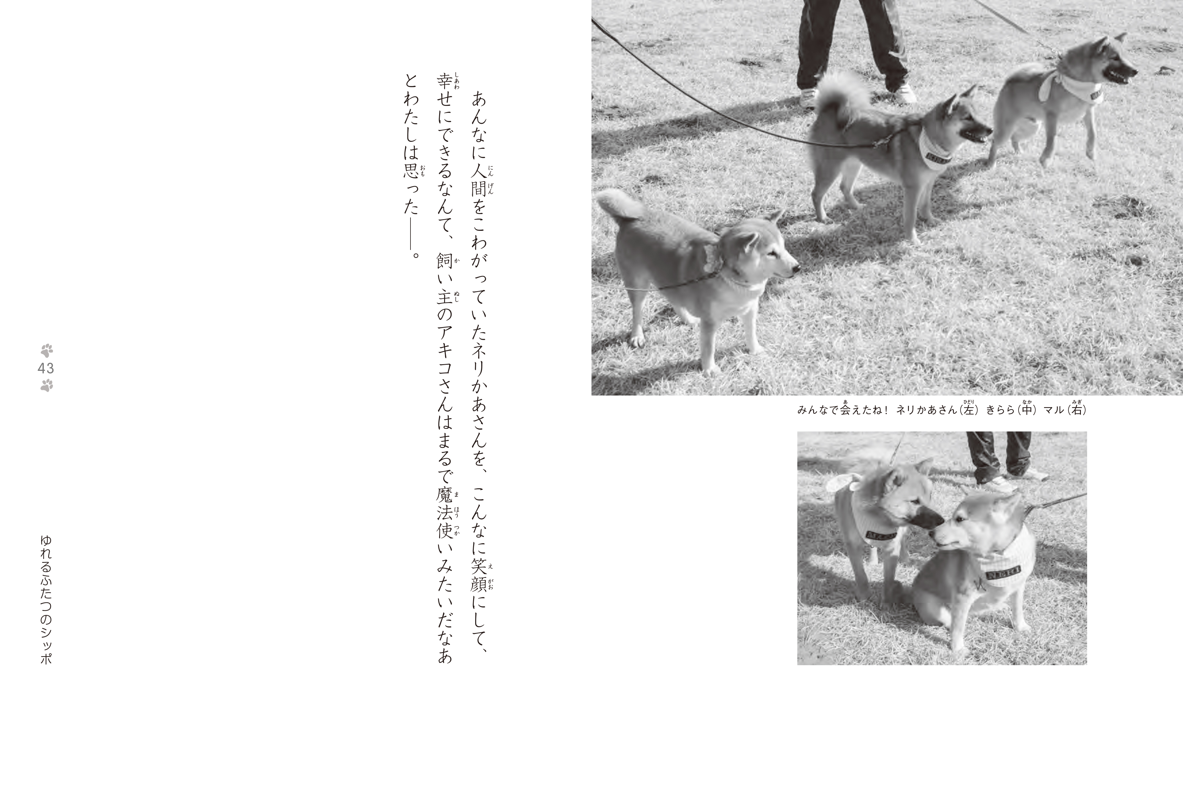 26年2月新刊☆捨て犬・きららとネリかあさん - 株式会社岩崎書店 この1