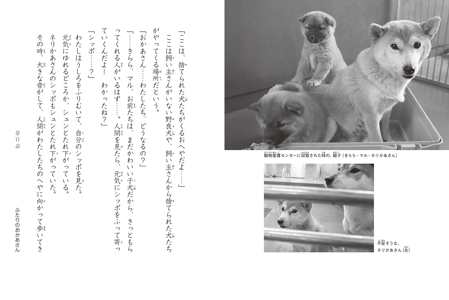26年2月新刊☆捨て犬・きららとネリかあさん - 株式会社岩崎書店 この1